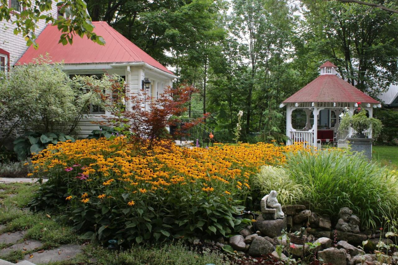 Lionheart Guest House Lions Head Exterior photo